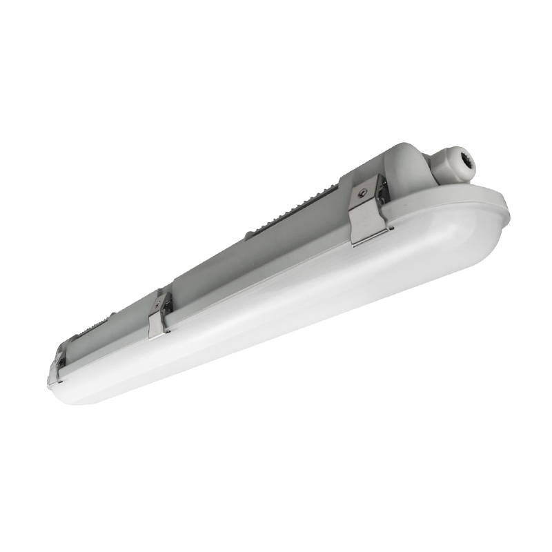 LG06M AC220-240V LED LED LED LED Đèn chống