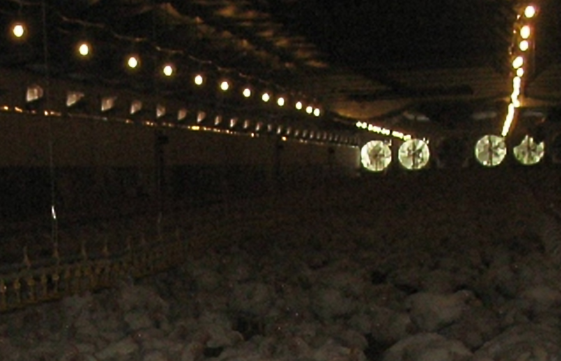 LED LED LED LED LED